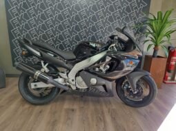 YAMAHA THUNDER CAT 600